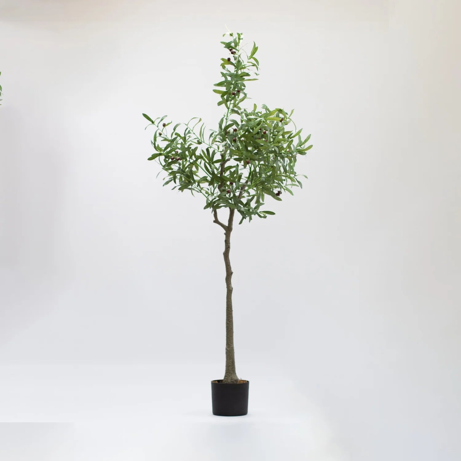 Faux Olive Tree 170cm - Little Crafts London
