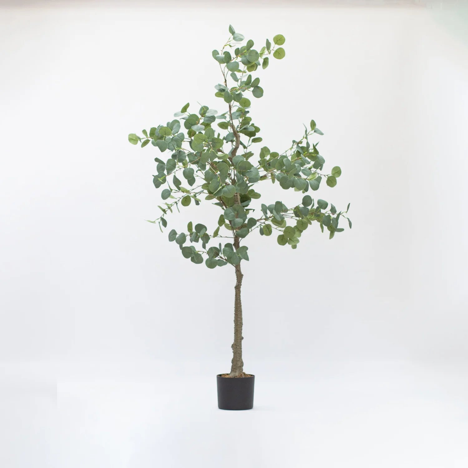 Faux Eucalyptus Tree 165 CM - Little Crafts London