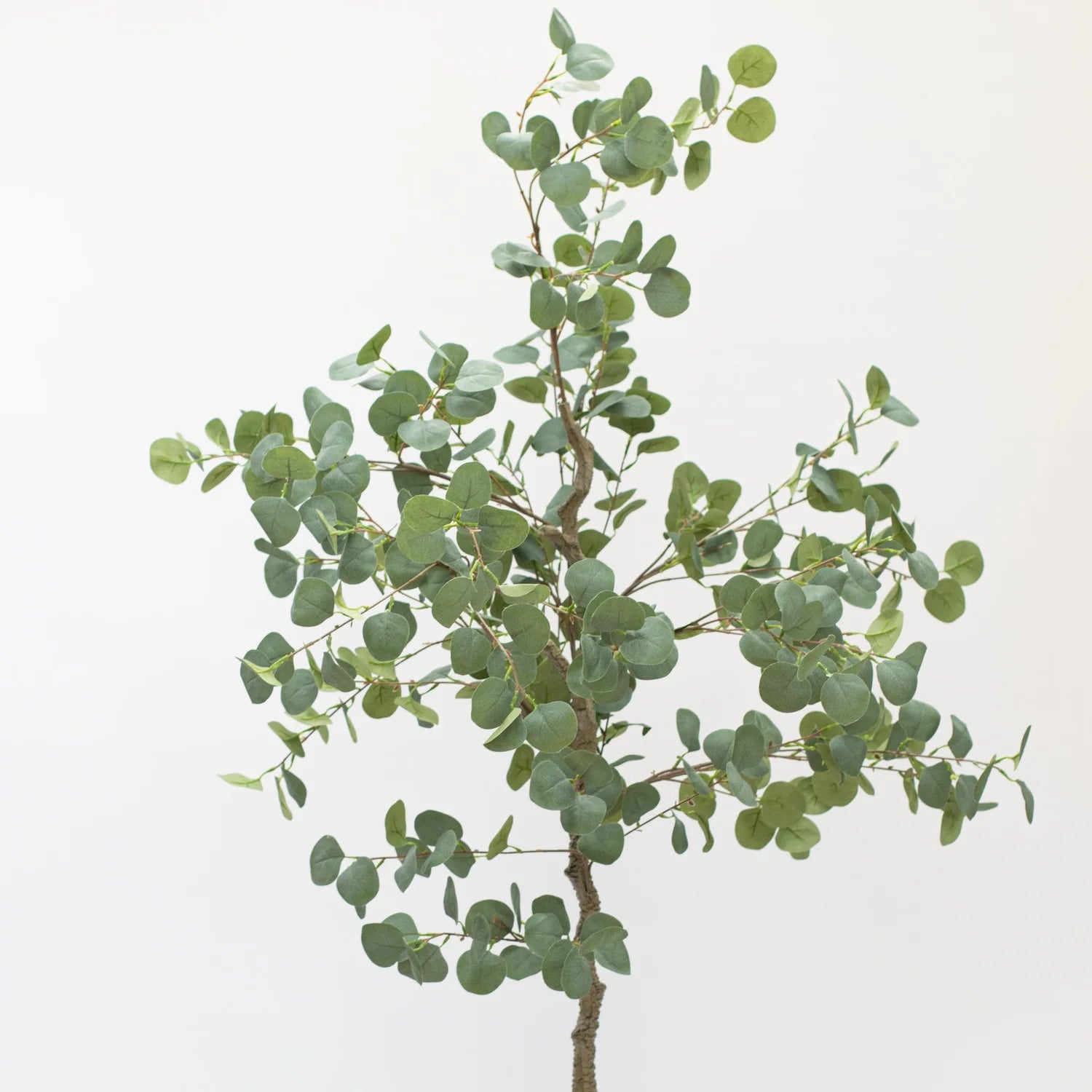 Faux Eucalyptus Tree 165 CM - Little Crafts London