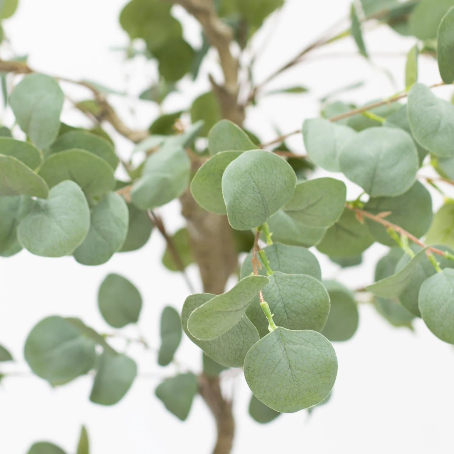 Faux Eucalyptus Tree 165 CM - Little Crafts London