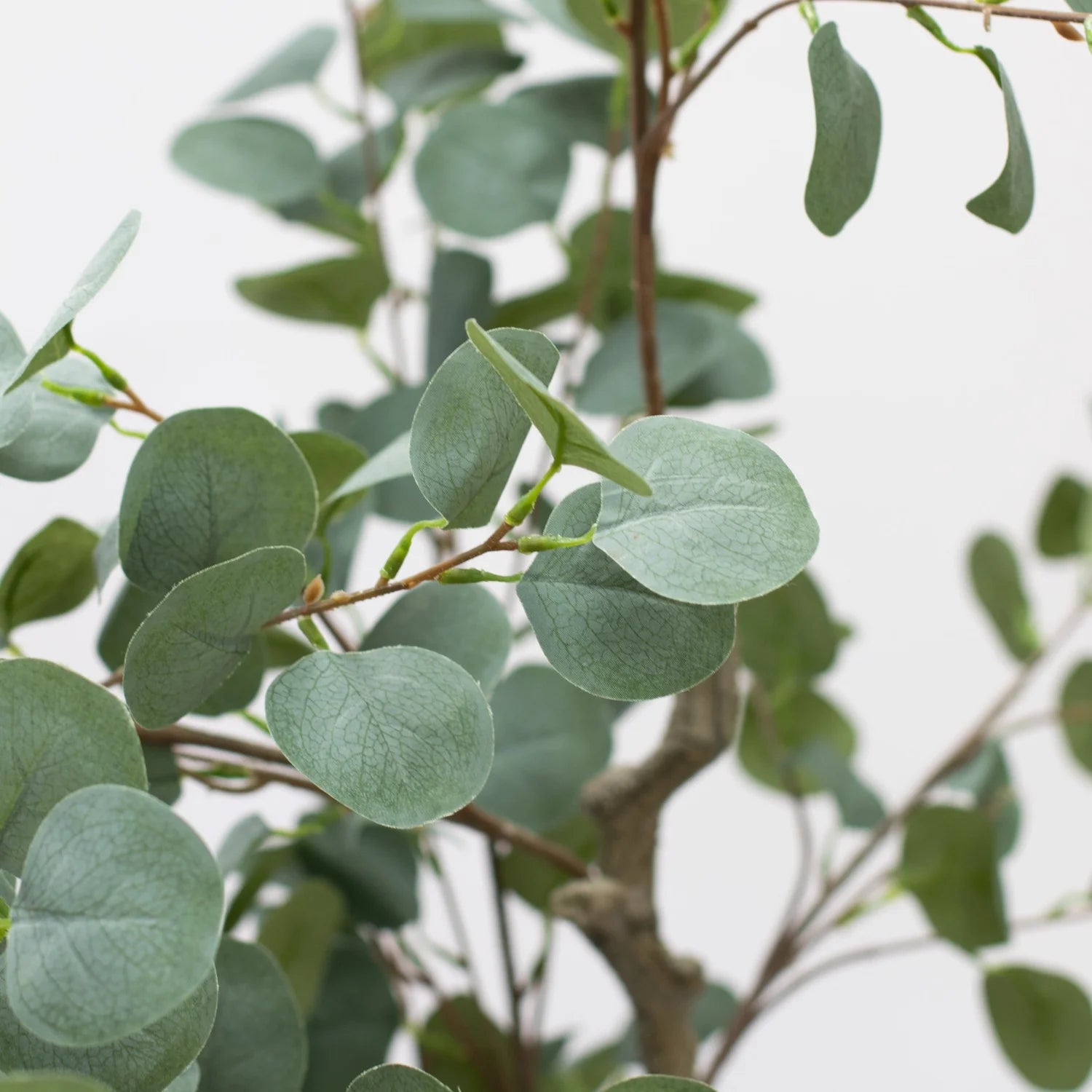 Faux Eucalyptus Tree 165 CM - Little Crafts London