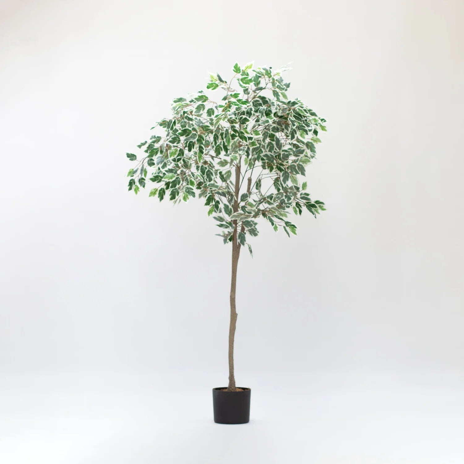 Faux Ficus Tree 150 CM - Little Crafts London