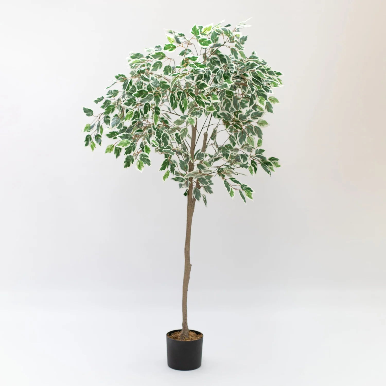 Faux Ficus Tree 150 CM - Little Crafts London