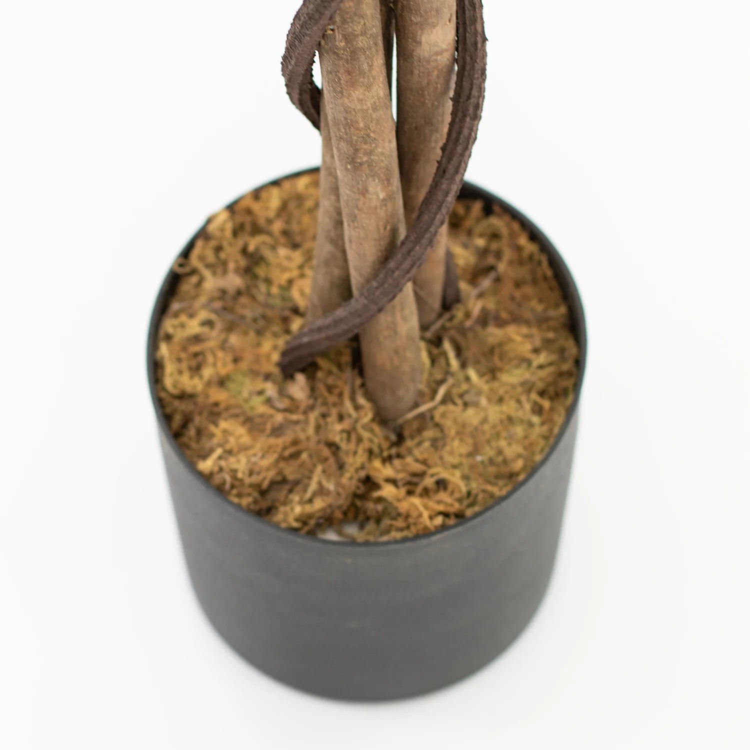 Faux Eucalyptus Tree 165 CM - Little Crafts London